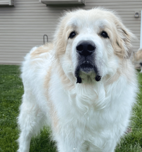 Zeus